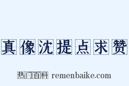 真像沈提点求赞是什么意思的图片